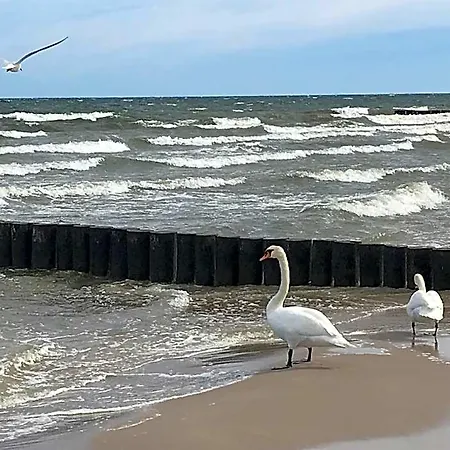 Poprostudomki *
